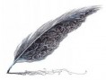 /album/images-illustratives-/poesie-3-jpg/